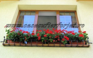Jardiniere superbe doar de la Casa cu Fier Forjat