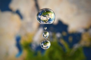 New Design Composite, specialistii rasinilor poliesterice