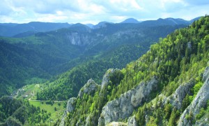 Pensiunea Edera te asteapta in inima Moldovei